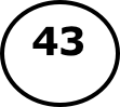 43